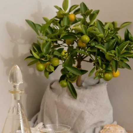 Casa Katalina Appartement Komiža